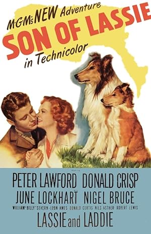 Son of Lassie