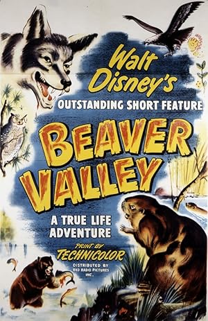 Beaver Valley