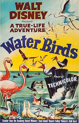 Water Birds