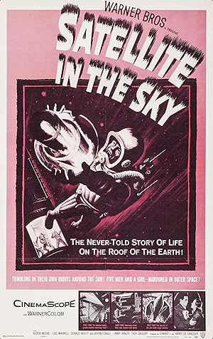 Satellite in the Sky