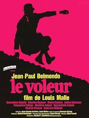 The Thief of Paris (The Thief / Le Voleur)