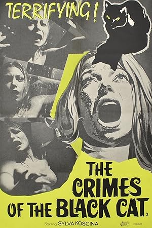 The Crimes of the Black Cat (Sette scialli di seta gialla)