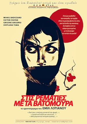 The Red Meadows (Krasnye polyany)