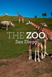 The Zoo: San Diego - Second Season