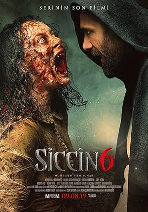 Siccin 6