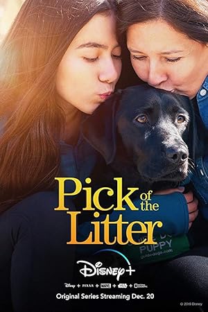 Pick of The Litter - First Season