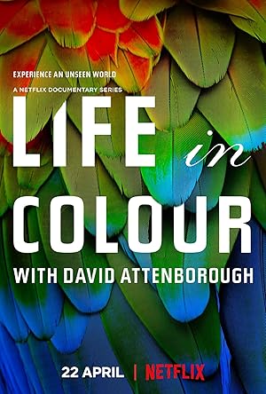 Life in Colour - First Season