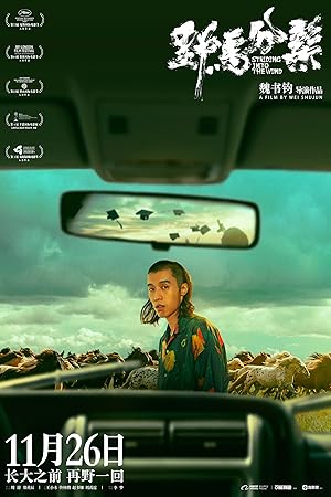 Striding Into the Wind (Running with the Wind / Ye Ma Fen Zong / 野马分鬃)