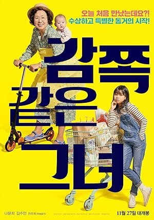 A Little Princess (Gamjjokkateun Geunyeo / 감쪽같은 그녀)