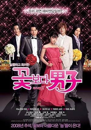 Boys Over Flowers: Final (Hana yori dango: Fainaru)