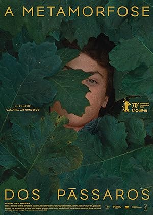 The Metamorphosis of Birds (A Metamorfose dos P
