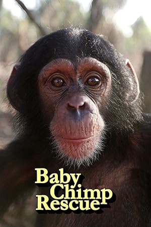 Baby Chimp Rescue