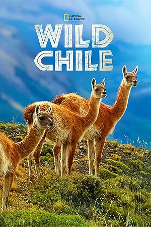 Wild Chile - First Season