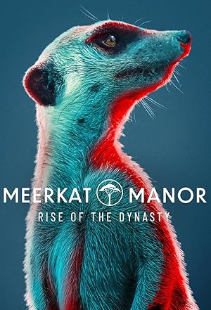 Meerkat Manor: Rise of the Dynasty - First Season