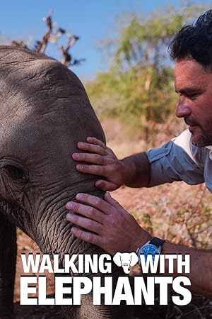 Walking With Elephants - First Season
