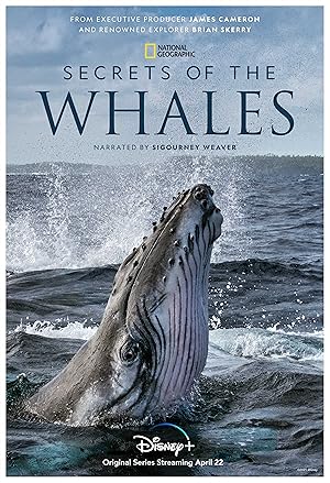 Secrets of the Whales - First Season