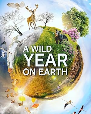 A Wild Year on Earth - First Season