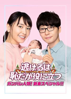 We Married as a Job Special (Nigeru wa hajidaga yakunitatsu Ganbare Jinrui! Shinshun Supesharu!! / 逃げるは恥だが役に立つ ガンバレ人類! 新春スペシャル!!)