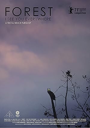 Forest: I See You Everywhere (Rengeteg - Mindenhol l