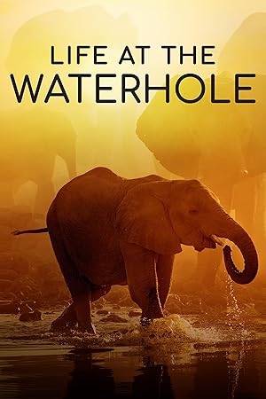 Life at the Waterhole - First Season
