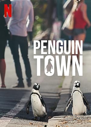 Penguin Town - First Season