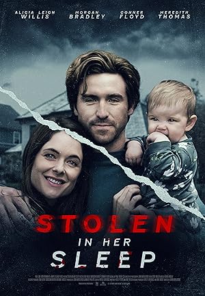 Stolen in Her Sleep (A Broken Mother)