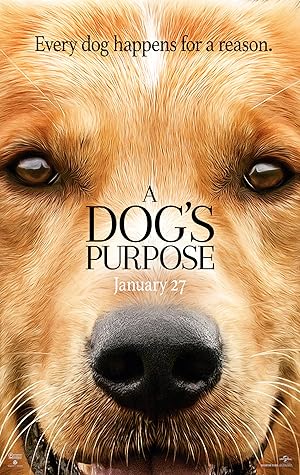 A Dog