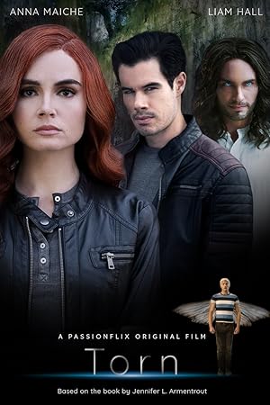 Torn: A Wicked Trilogy