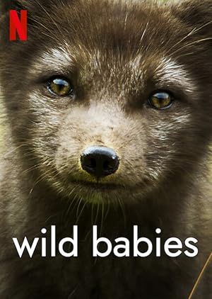 Wild Babies - First Season