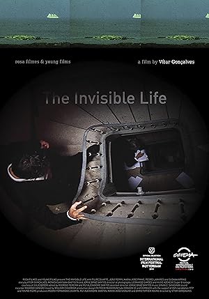 The Invisible Life (A Vida Invis