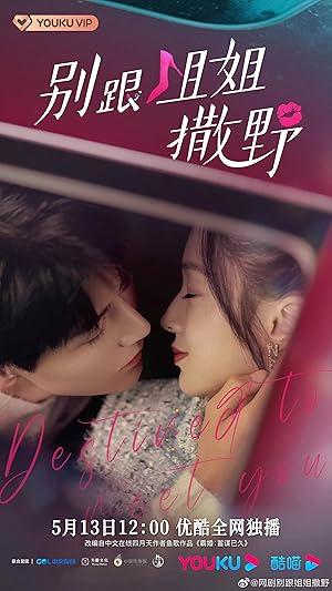 Destined to Meet You (Lovely Sister / Bie Gen Jie Jie Sa Ye / 别跟姐姐撒野)