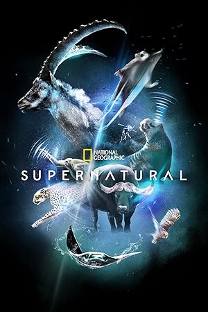 Super/Natural - First Season