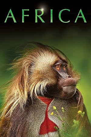 BBC David Attenborough