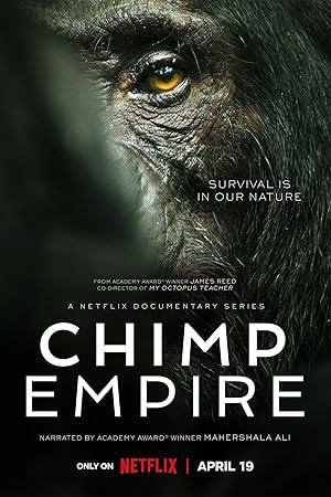 Chimp Empire - First Season