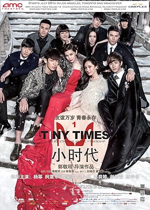 Tiny Times (Xiao shi dai / 小時代)