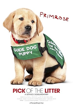 Pick.Of.The.Litter