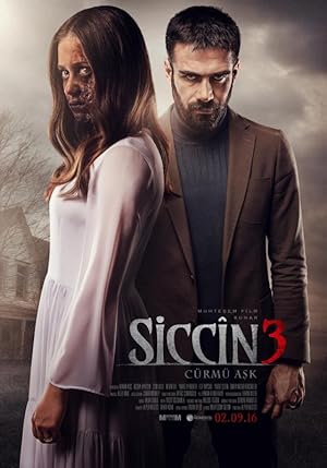 Siccin 3: C