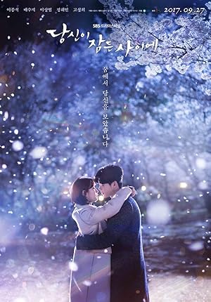 While You Were Sleeping (Dangshini Jamdeun Saie / 당신이 잠든 사이에)