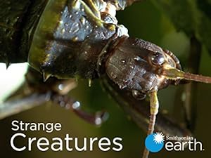 Strange Creatures - First Season