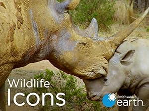 Wildlife Icons - First Season 