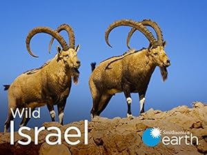 Wild Israel - First Season
