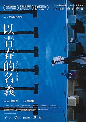 In Your Dreams (Yi ching chun dik ming yi / 以青春的名義)
