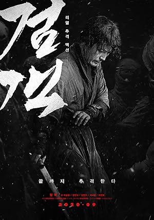 The Swordsman (Geomgaek / 검객)