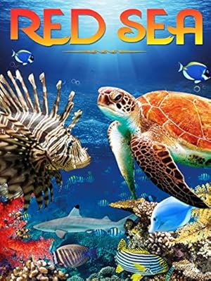 Red Sea