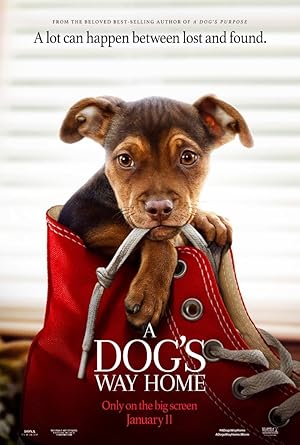 A Dog
