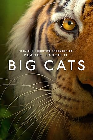 Big Cats - First Season