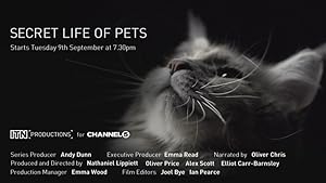 The Secret Life of Pets - First Season