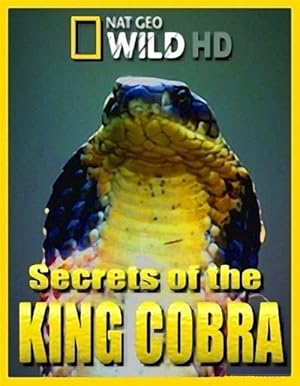 Secrets of the King Cobra