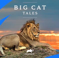 Big Cat Tales - First Season