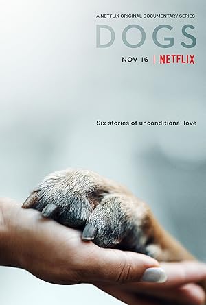 Dogs - Second Season